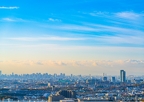 地域開発コンサルティング